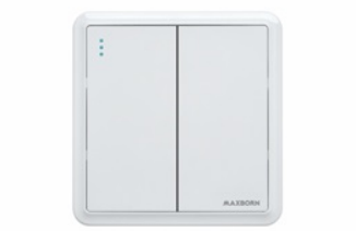 KG131二位单级开关