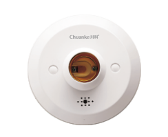 D091声光控延时灯头