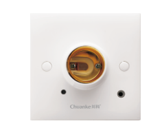 D094声光控延时灯头