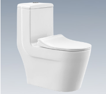 WY068马桶